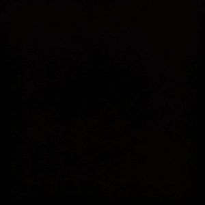 Meet your Posher, Sally